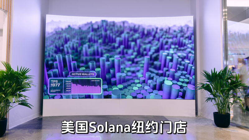 654da24f7de51.png